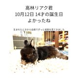 高林リアク君10月12日14才お誕生日おめでとう