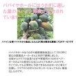 画像13: うさぎ 毛球予防 人気Ｎｏ１ パパイヤボール60g (13)