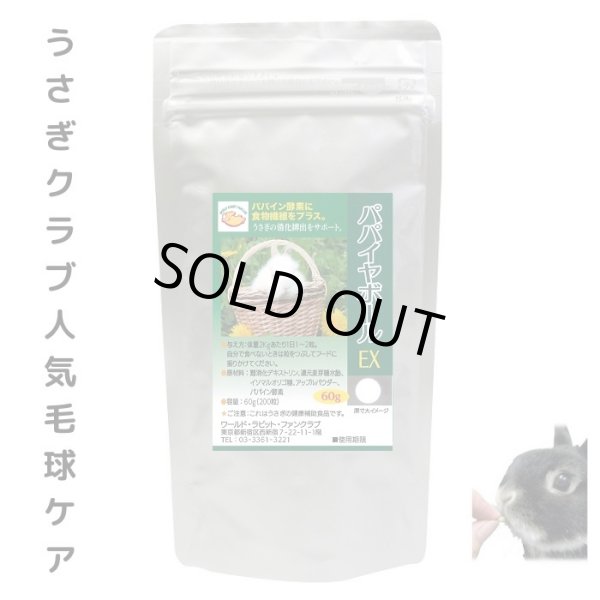 画像1: 入荷待ち うさぎ 毛球予防 人気No1 パパイヤボール60g (1)