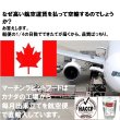画像10: うさぎ カナダ空輸直輸入 マーチンクラシック800g   (10)