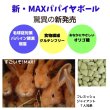 画像6: うさぎ 毛球予防サプリ MAXパパイヤボール10g グルテンフリー (6)