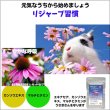 画像3: うさぎ エキナセア配合サプリメント リジャーブタブレット60g (3)