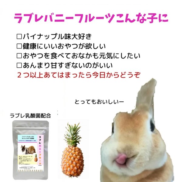 画像1: うさぎ ラブレバニーフルーツ20g パイナップルいっぱい  植物性乳酸菌配合 おなかにいい (1)