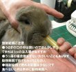 画像5: うさぎファンクラブ 強制給餌 粉末フード60g うさぎさんの栄養補給に (5)