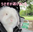 画像4: うさぎファンクラブ 強制給餌 粉末フード60g うさぎさんの栄養補給に (4)