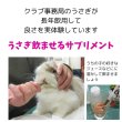 画像5: うさぎファンクラブ 濃い乳酸菌粉末サプリメント  超(腸)元気10g 飲ませるサプリ (5)