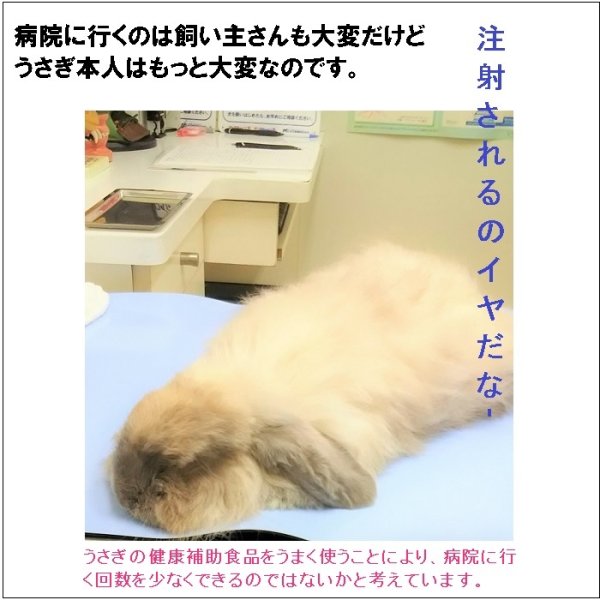 画像6: うさぎ スーパータブレットNEX 60g 総合栄養強化サプリメント (6)