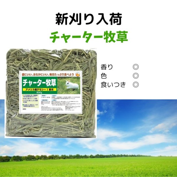 画像1: うさぎ チモシー 1番刈 チャーター牧草800g 新刈入荷しました (1)