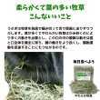 画像2: うさぎ 牧草 やわらかくてふわふわ やわらか牧草800g チモシー２番刈 (2)