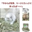 画像3: うさぎ 牧草 やわらかくてふわふわ やわらか牧草800g チモシー２番刈 (3)