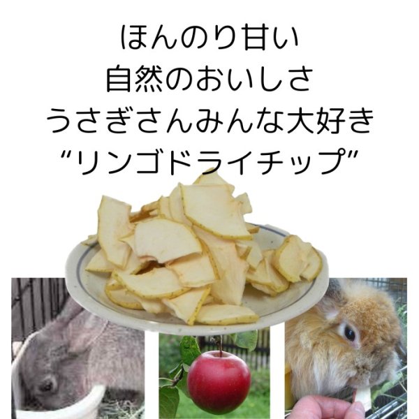 画像1: うさぎ 健康おやつ りんごドライチップス 50g  (1)