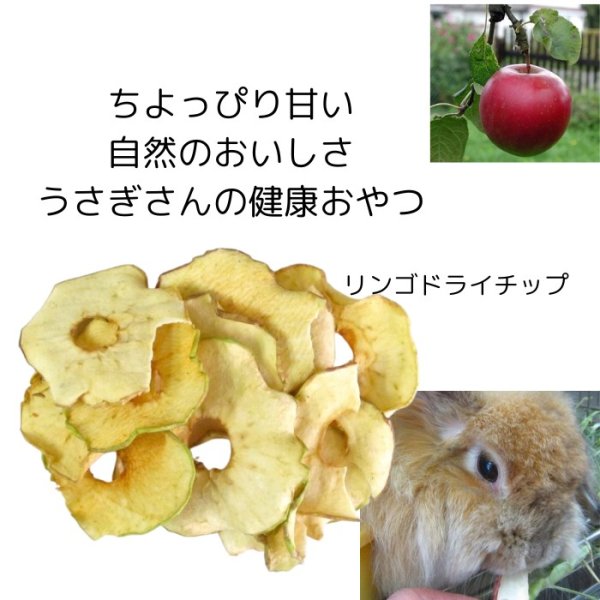 画像2: 5%OFF うさぎ 健康おやつ りんごドライチップス 50g  (2)