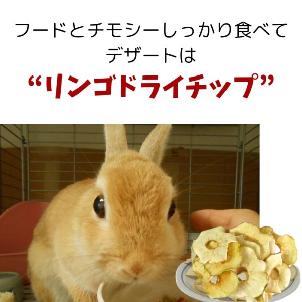 画像3: 5%OFF うさぎ 健康おやつ りんごドライチップス 50g  (3)