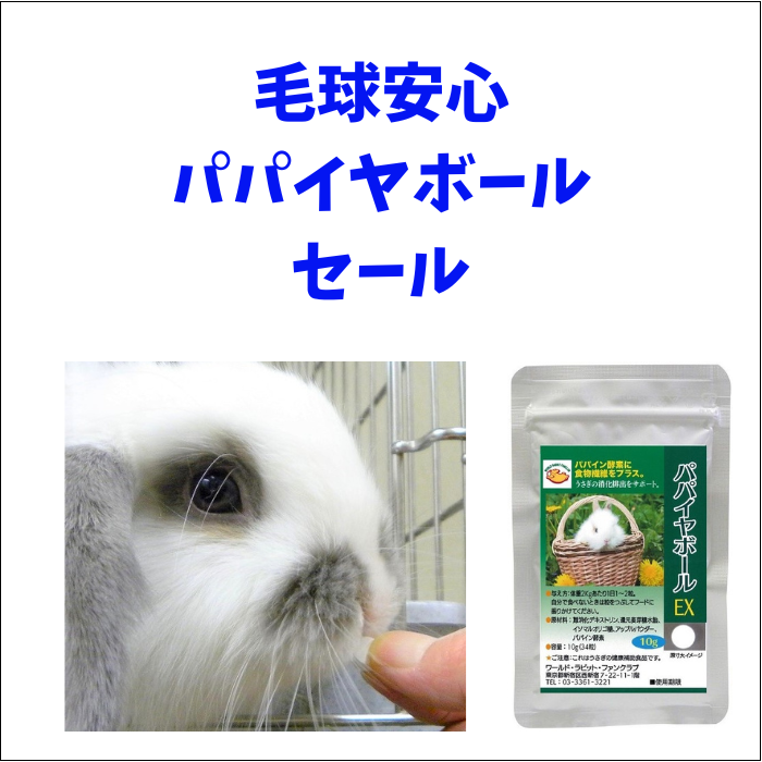 パパイヤボール入荷しましたセール開催しています